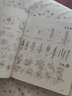 简笔画6-12岁 儿童临摹简笔画大全5000例手绘本小孩绘画初学者学画画的教材一步一步简笔画教程本成人小学生学画画书7-14岁绘画涂色本分步学画简笔画 实拍图