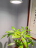 LIGHTPOOL 全光谱 led植物生长灯仿太阳光 多肉花卉盆景室内家用植物补光灯 全光谱植物生长灯 【10W】 实拍图