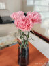 墨斗鱼玻璃花瓶北欧风轻奢描金边摆件插花大花瓶客厅植物仿真花水培22CM 实拍图