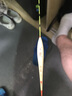 阿卢c08高灵敏度鲫鱼漂鲤鱼漂芦苇浮漂加粗醒目黑坑野钓混养浮标官方 LPC08芦苇本色阴天尾15目 5号（吃铅约2.01g） 实拍图