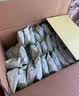 阿尔发无糖食品木糖醇全麦饼干燕麦曲奇苏打礼盒装中老年人代餐食品小吃 阿尔发燕麦曲奇饼干1250g*1礼盒 实拍图