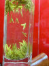 醉茗山茶叶龙井茶 浙江新茶春茶龙井绿茶 明前头采嫩芽豆香龙井茶500g 【明前头采】新茶豆香龙井500g 实拍图