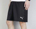 彪马（PUMA）短裤秋冬男 25新款透气快干运动裤跑步训练健身休闲裤户外五分裤 【主推】建议拍小一码/无口袋 L /180/78 实拍图