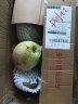 惠寻 京东自有品牌 陕西青苹果酸甜苹果绿苹果带箱3斤果径65mm以上 晒单实拍图