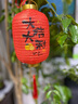 婚恋倾城灯笼元旦新年装饰儿童手提diy发光红古风宫灯花灯笼材料活动布置 实拍图