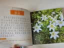 花卉小百科（1分钟儿童小百科）软包精装 有声伴读 注音版 科普读物 3-6-8岁 幼儿园 一二三年级 早教发声书 点读书 实拍图