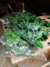 豫之韵假花藤条塑料绿植物花壁水管道装饰空调管遮挡吊顶装饰室内阳台 80片绿萝叶（1包12条）小而密 实拍图