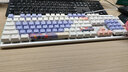 牧马人 K100 K200 花间舞主题机械键盘拼色电竞有线USB家用办公宿舍码字电脑笔记本台式机游戏 K100紫白色104键 茶轴 实拍图