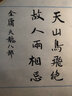 武士会：己亥年修订版（一九一二年，“中华武士会”在天津成立，一辈武人试图在民间重新立德，为中华接脉） 实拍图