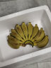 俊怡广西苹果蕉超甜9斤5斤当季新鲜水果现摘香蕉批发非芭蕉西贡粉蕉 广西苹果蕉(净重5斤) 晒单实拍图