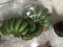 帆儿庄园新鲜广西小香蕉水果小米蕉蕉新鲜水果整箱当季鲜苹果蕉自然熟粉蕉 2.5kg 晒单实拍图