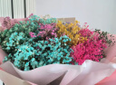 艾斯维娜520情人节鲜花速递满天星玫瑰花束送女友生日礼物全国同城配送 19朵蓝色妖姬花束 实拍图