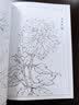 满庭芳 工笔白描百花画谱 实拍图
