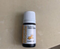 拜奥 （BioGaia） 益生菌经典滴剂10ml  瑞典进口  罗伊氏乳杆菌  0-3岁可用 实拍图