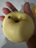 奶油苹果山东烟台黄金富士脆甜丑冰糖心苹果新鲜水果整箱送礼生鲜 5斤 晒单实拍图