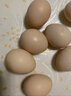 杞农优食【JD快递】可生食标准鲜鸡蛋 生鲜鸡蛋京东新鲜土鸡蛋超市礼盒装 可生食鸡蛋10枚装 实拍图