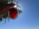 孟买蓝宝石孟买莓瑰金酒 英国 Bombay 37.5% vol 700ml 长岛冰茶 实拍图