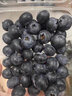 储褚【顺丰空运】云南新鲜蓝莓鲜果 国产花香蓝梅大果 时令水果 4盒装/125g（单果17mm左右） 实拍图
