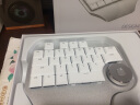 多彩（DeLUX）T11有线键盘 旋钮小键盘 巧克力键帽 单色背光 CAD PS绘图画图 多功能辅助 设计师键盘 白色 实拍图