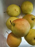 隰县玉露香梨山西隰县玉露香梨小西天特产梨子脆甜无渣多汁当季新鲜梨子礼盒装 15颗大果 净重10斤 实拍图