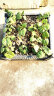 易栽乐（Yizail） 2.5S种植箱咖啡色塑料种菜盆 阳台种菜组合式长方形庭院大花盆 1联种植箱40*40*26cm 实拍图