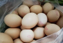 晋龙可生食鲜鸡蛋  30枚1.4kg不含沙门氏菌轻食早餐礼盒装  源头直发 实拍图