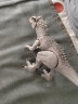 美泰（mattel）新品美泰侏罗纪恐龙玩具侏罗纪世界2反派迅猛龙电影  声光暴虐霸王龙 (可张嘴-GCT95 实拍图