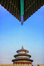 SAMYANG三阳森养14mm F2.8 \ MK2超广角全画幅单反RF口镜头 佳能卡口 实拍图
