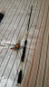 狼王纺车轮渔轮黄岩全金属线杯鱼轮微物矶钓轮路亚轮远投轮鱼线轮海竿 2000型 晒单实拍图