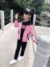 阿贝阿果三件套童装女童秋宝宝衣服春韩版运动卫衣女孩中大童外套儿童套装 8816粉色三件套 140 实拍图
