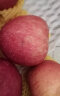 京鲜生 新疆阿克苏冰糖心苹果9斤单果300-400g 水果 包装随机 晒单实拍图