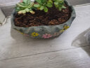 仟尚亿多肉大口径拼盘花盆陶瓷批发创意室内肉肉拼盆创意大多肉植物花盆 拼盘-波浪大盆（带孔） 图上有尺寸 实拍图
