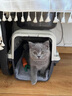 华元宠具（hoopet）宠物航空箱狗狗飞机托运箱猫咪外出猫包小型犬国航车载狗笼大型犬 国航款1号50*33*33cm 有铁窗 实拍图