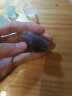 唯誠 天然 水晶石矿石原石儿童收藏矿石教学标本摆件 紫水晶裸石一块（2-3厘米） 实拍图