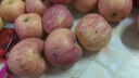 聚牛果园烟台红富士苹果5斤 简装 时令生鲜水果 富士果径85-90mm5斤特大果 新鲜苹果 实拍图