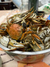 【活蟹】网兜蟹辽宁盘锦河蟹稻田河蟹礼盒螃蟹鲜活大闸蟹无绳净重 全母蟹丨1.0-1.3两【5斤】40-50只 实拍图