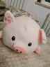 捉趣（ZHUOQU）小猪公仔可爱创意毛绒玩具玩偶陪睡抱枕靠垫娃娃玩偶女生生日礼物 BOBO猪呆萌款 50cm 实拍图