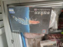 京东生鲜 海外直采  泰国活冻黑虎虾（大号） 400g 16-20只/盒 海鲜水产 晒单实拍图