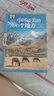 和爸妈一起去旅行 图说天下 国家地理 全球 中国最美的100个地方（套装共2册） 实拍图