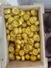 香醇贵府1200克 约230颗 糯米香普洱茶熟茶熟普洱沱茶 香醇贵府 实拍图