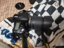 尼康/Nikon D90 APS画幅 入门二手单反相机 D90+18-105VR【套机】 95新 晒单实拍图