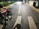 RALEIGH 铝合金山地自行车成人赛车油碟线碟男青少年变速越野车英国兰令 27速-消光灰 29英寸(180-195cm身高) 实拍图