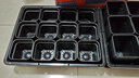 IRIS爱丽思S-5育苗箱多肉叶插种植组合盆栽有盖子可选播种育苗盆托盘 12个特厚黑盆+爱丽思箱+A3托盘 实拍图