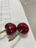 谜麟 适用苹果12手机壳液态硅胶摄像头全包iPhone12ProMax手机壳防摔苹果12Pro保护壳防滑软壳 苹果12【古董白+全屏钢化膜+挂绳】 实拍图