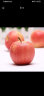 壹农壹果2023新苹果 红嘎啦苹果 65mm起 当季时令新鲜脆甜丑苹果水果 精选9斤装（净重8.5斤） 实拍图