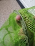 便携小鱼护简易折叠装鱼虾鱼篓防挂速干加厚螃蟹龙虾防跳网兜渔具 小号（长50CM） 实拍图