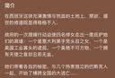 谢尔顿作品：时间之沙 实拍图