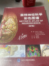 奈特神经科学彩色图谱（第3版） 实拍图