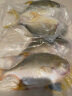 翔泰 冷冻海南金鲳鱼1.2kg /3-4条装 海鱼 生鲜 鱼类 轻食 海鲜水产 晒单实拍图