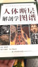 正版 人体断层解剖学图谱(精) CT人体断层局部解剖影像学 人体解剖学断面解剖学图谱 刘树伟主编 山 人体断层解剖学图谱 实拍图